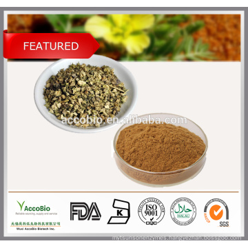 100% natural Tribulus Terrestris Extract Saponins 40% 50% 60% 80% 90%,95% UV Protodioscin 20% 40%,60% HPLC